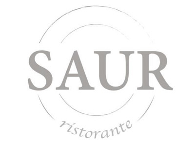 Logo Saur