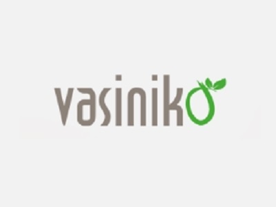 Vasinikò
