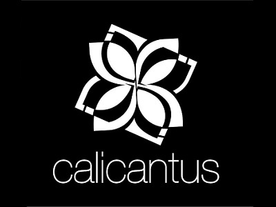 Calicantus Space